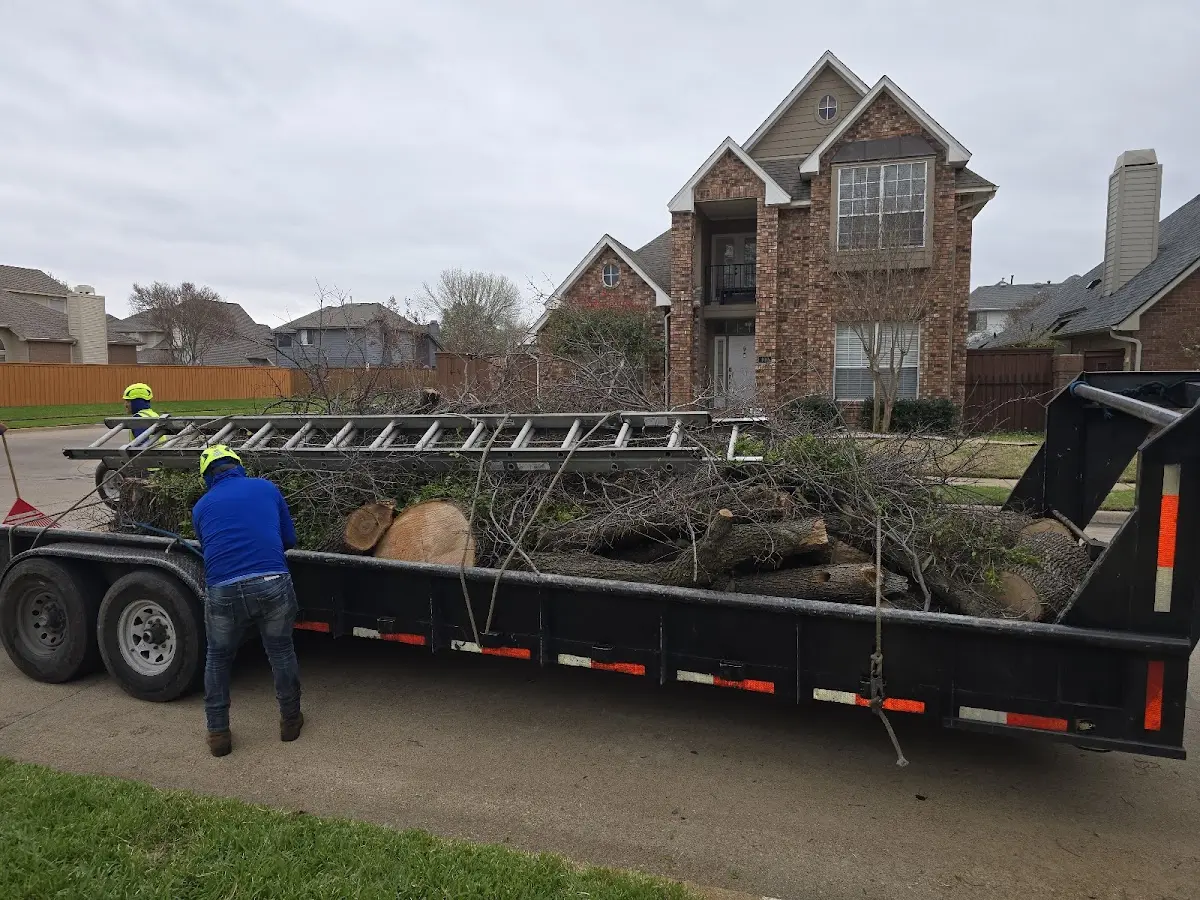 Expert Crown Reduction with proper safety equipment in Missouri Valley